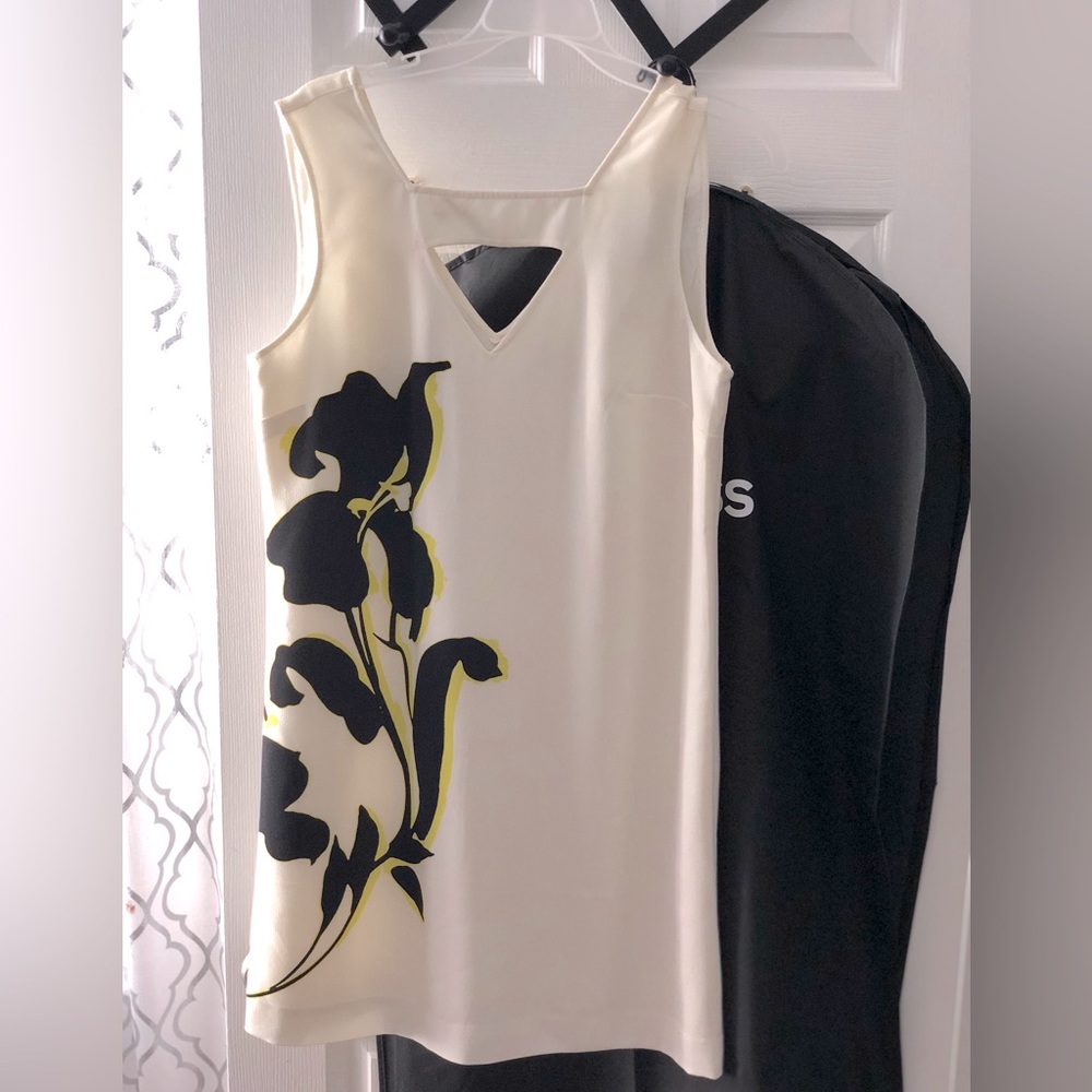 NWT sleeveless Banana Republic dress